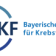 Logo BZKF 